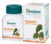 Himalaya Wellness Pure Herbs Guduchi (60 tabs) - Immunity Wellness(1) 